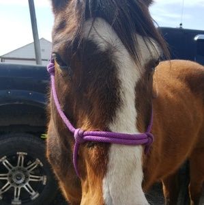 Meet your Posher, Sierra